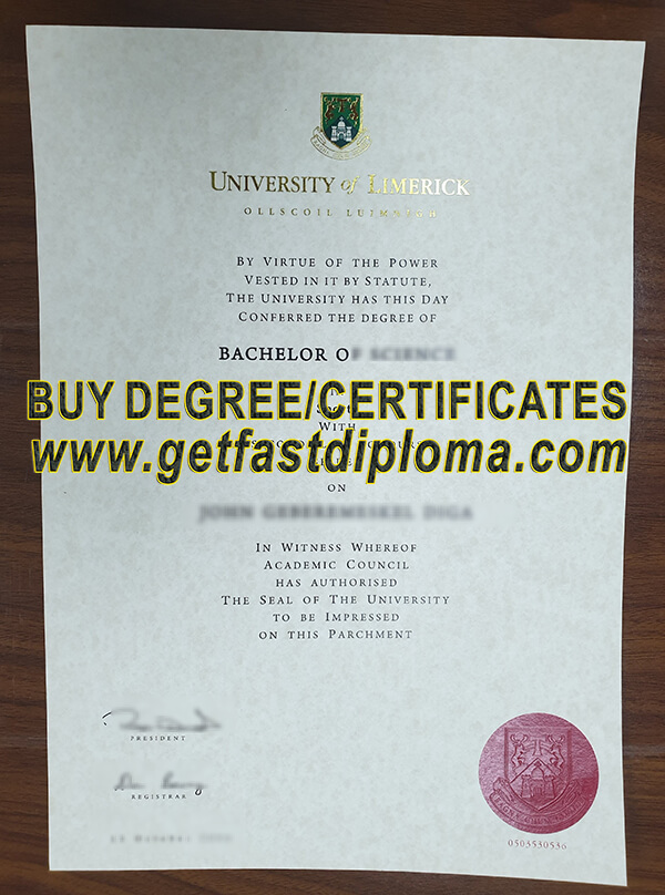 University of Limerick diploma