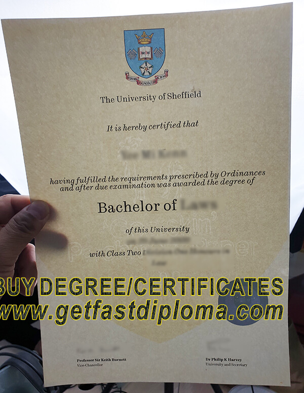  University of Sheffield degree