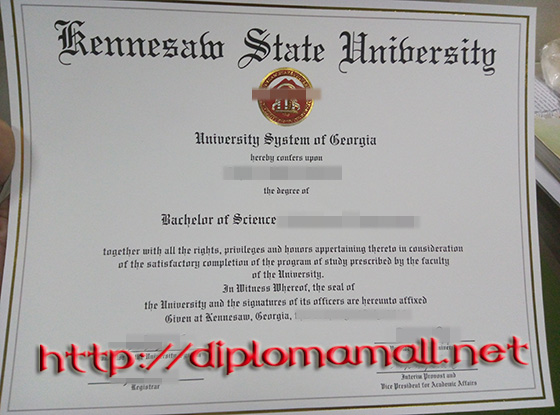 Kennesaw State University degree