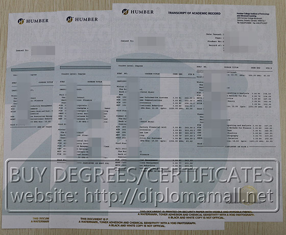 Humber College academic transcript